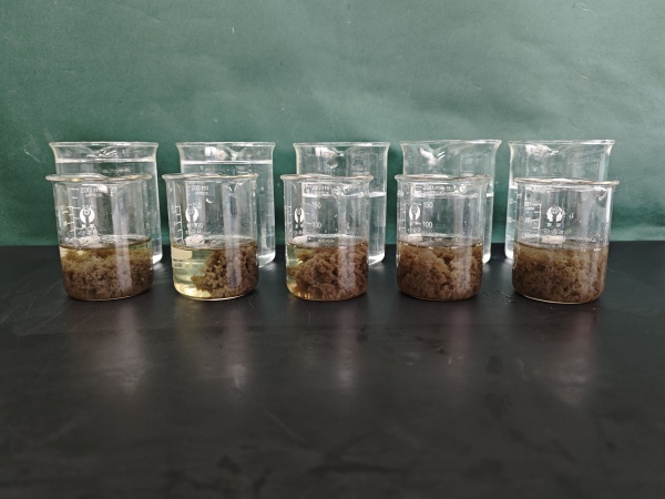 How to treat with printing and textile waste water with polyacrylamide and polyaliminium chloride?