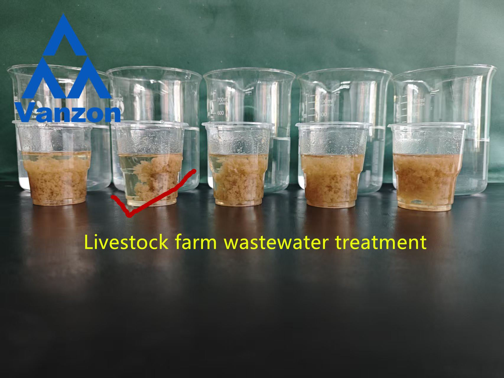 Efficient Aquaculture Wastewater Treatment with PAC and PAM Flocculants