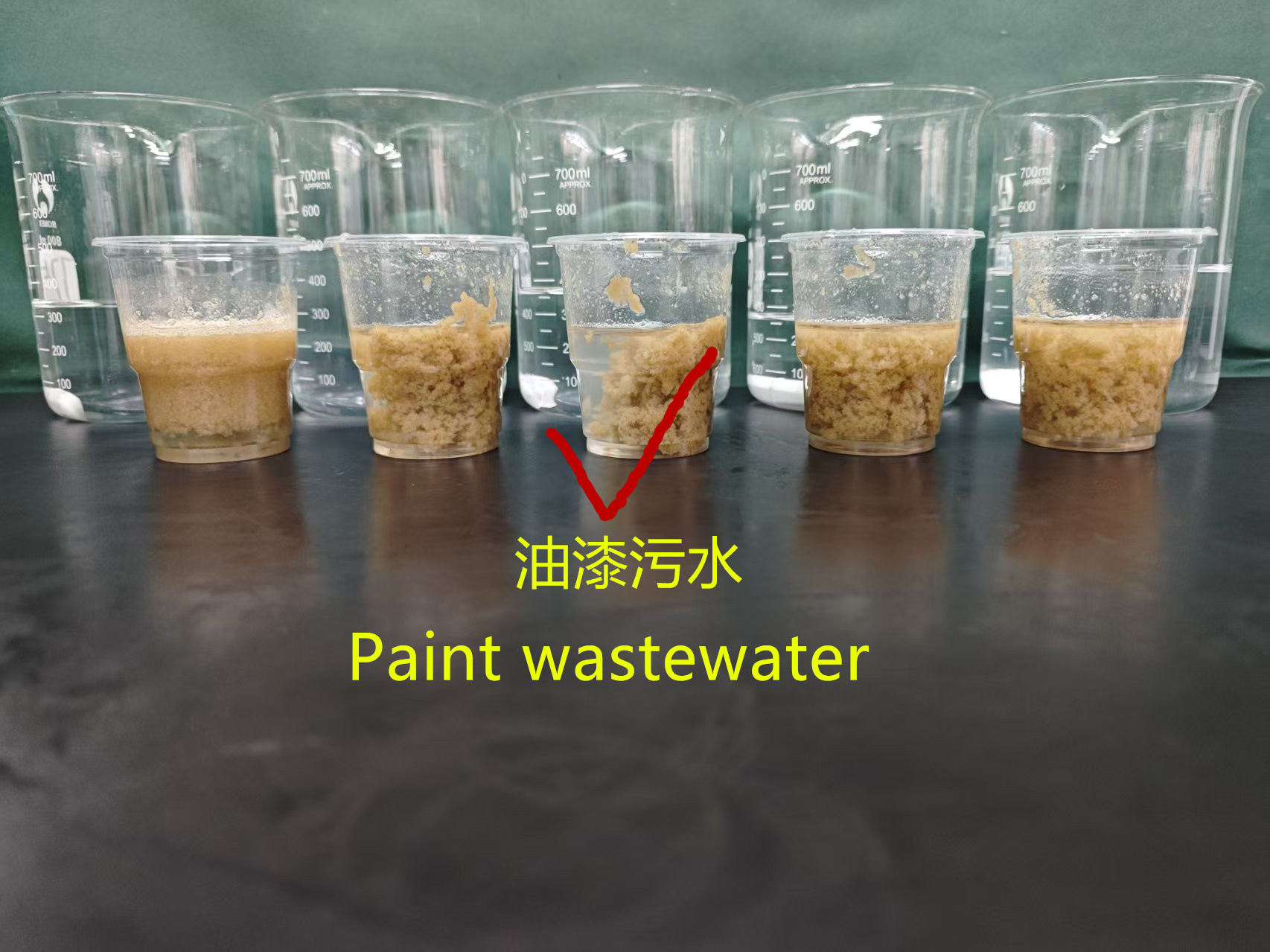 The Roles and Advantages of Polyacrylamide (PAM) and Polyaluminum Chloride (PAC) in Paint Wastewater Treatment